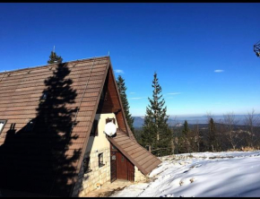 Vila Aleksandra Jahorina